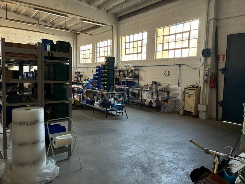 immagine annuncio 11 di 15