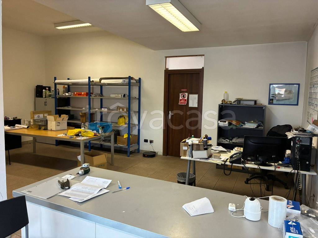 immagine annuncio 9 di 15