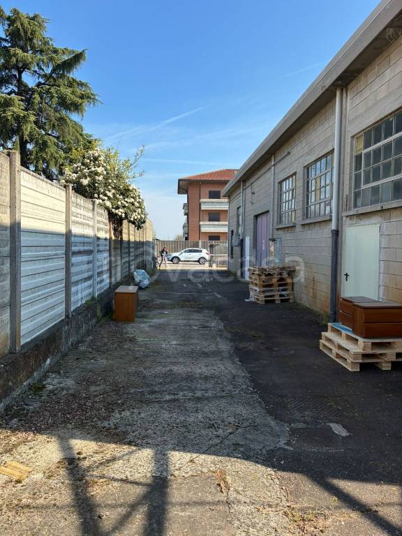 immagine annuncio 2 di 15