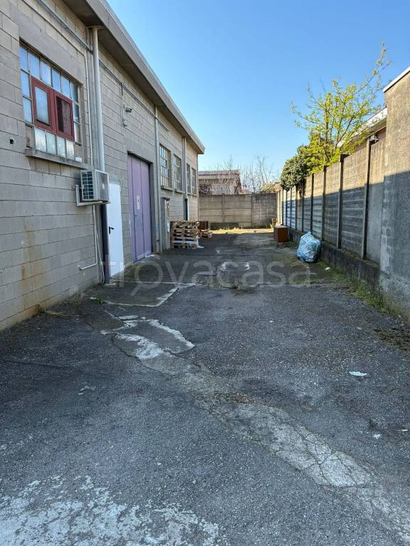 immagine annuncio 3 di 15