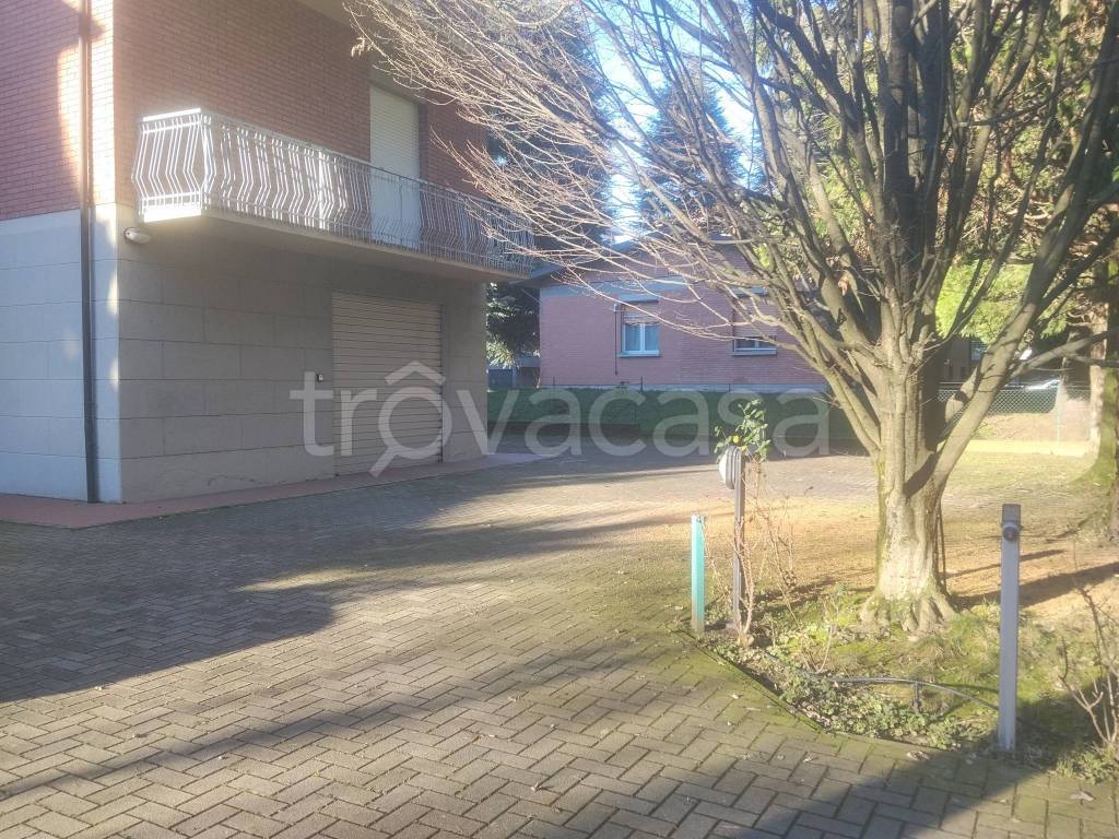 immagine annuncio 3 di 12