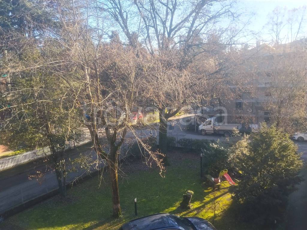 immagine annuncio 6 di 12