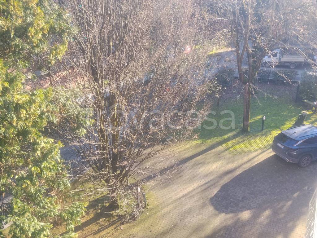 immagine annuncio 4 di 12