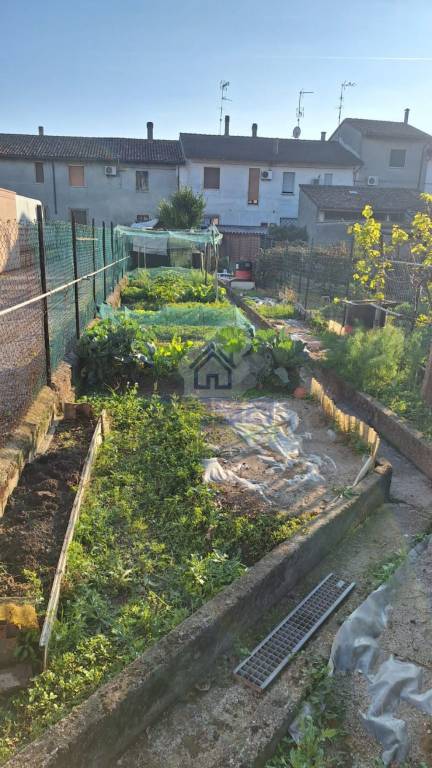 immagine annuncio 6 di 8