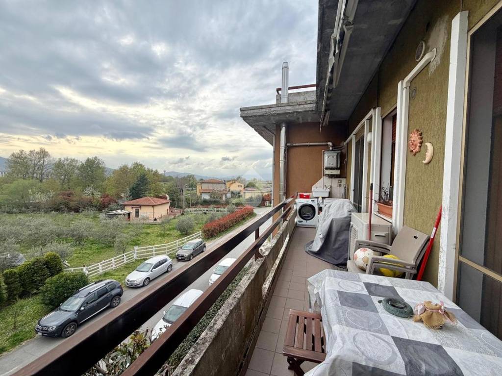 immagine annuncio 12 di 15