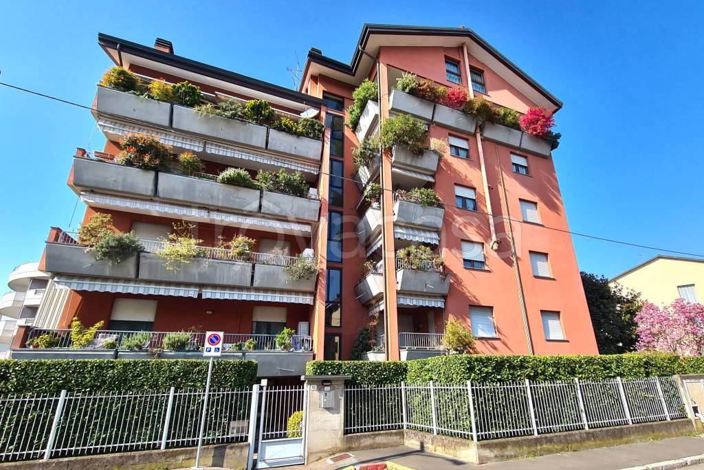 immagine annuncio 1 di 15