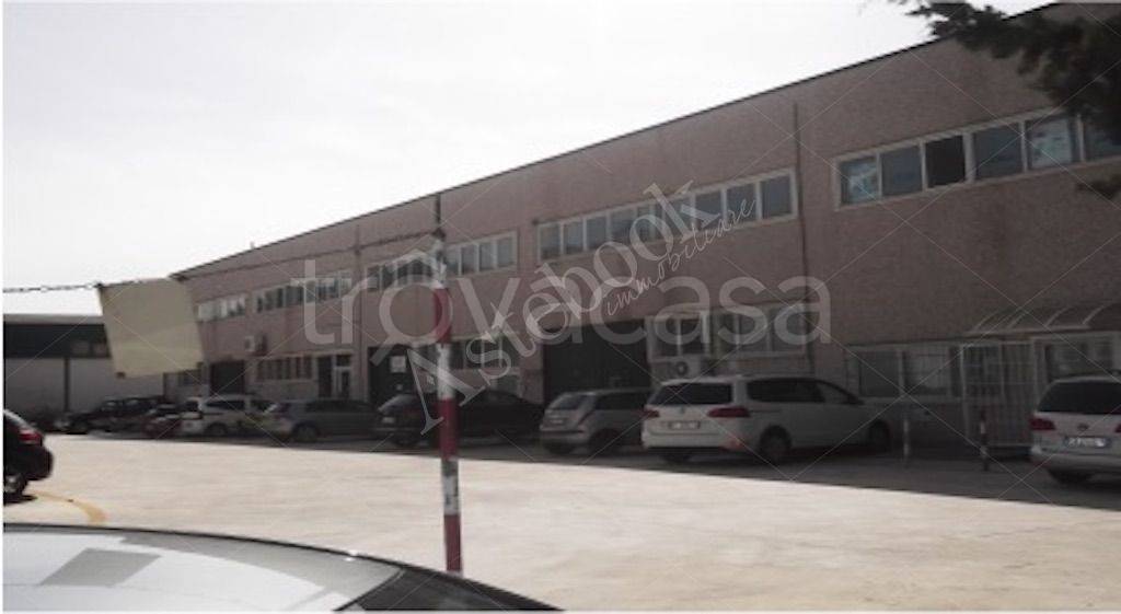 immagine annuncio 2 di 6