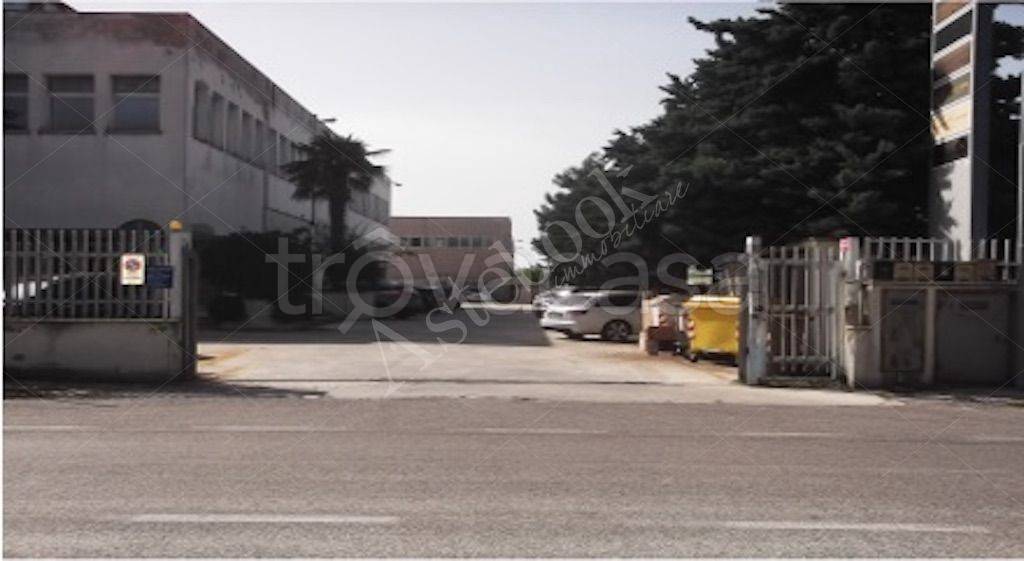 immagine annuncio 3 di 6