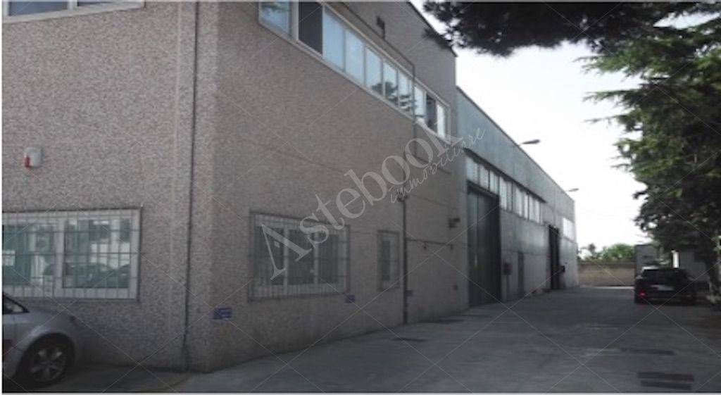 immagine annuncio 4 di 6