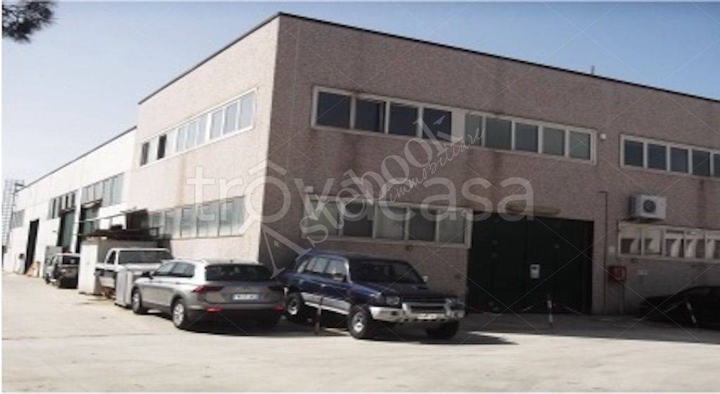 immagine annuncio 5 di 6