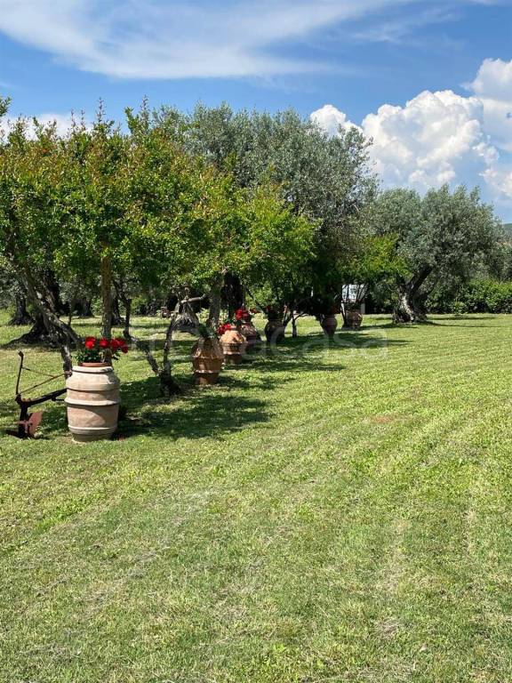 immagine annuncio 4 di 12