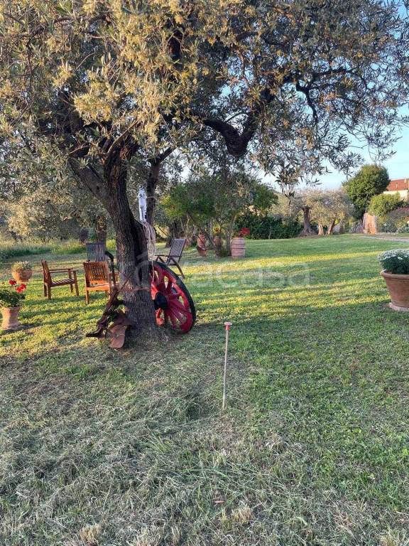 immagine annuncio 5 di 12