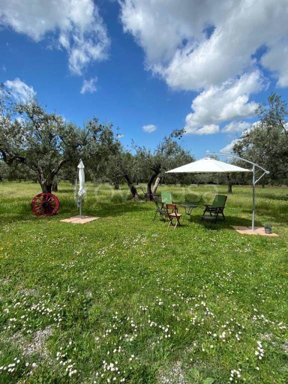 immagine annuncio 6 di 12