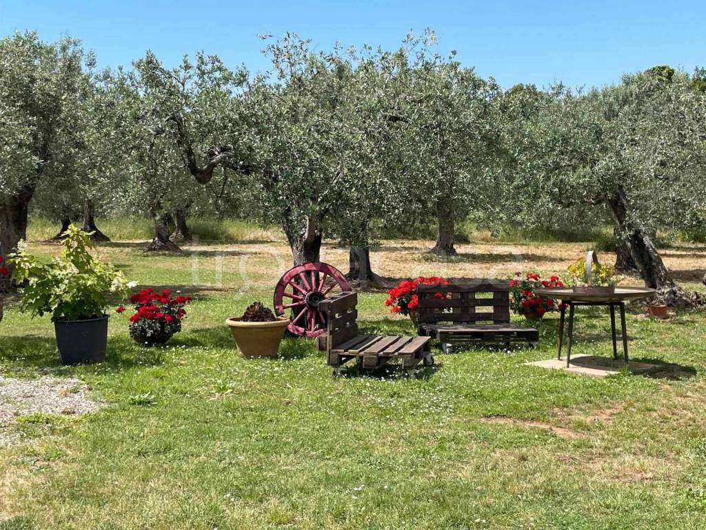 immagine annuncio 8 di 12