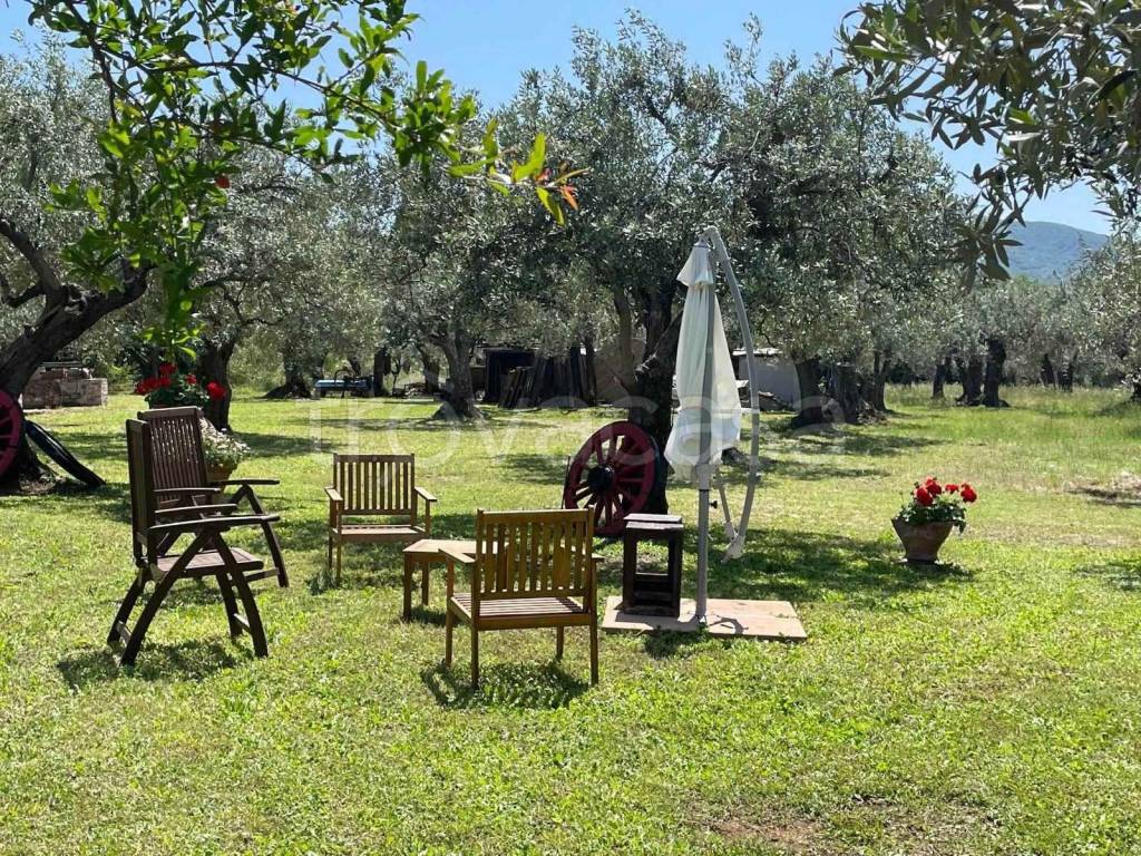 immagine annuncio 9 di 12