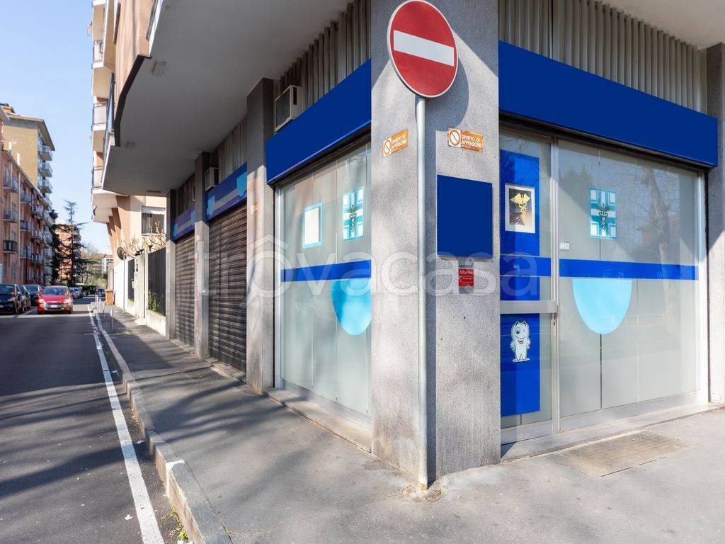 immagine annuncio 4 di 15