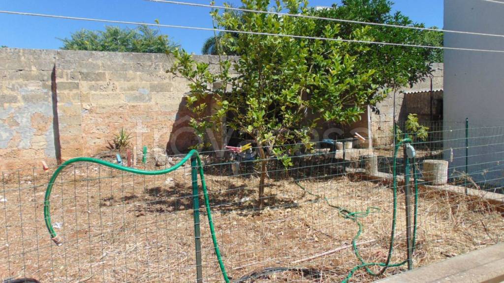 immagine annuncio 2 di 12