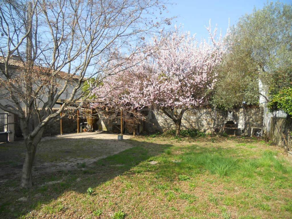 immagine annuncio 4 di 7