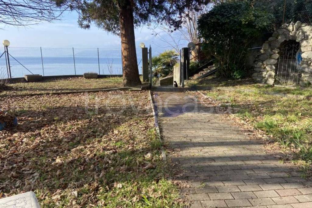 immagine annuncio 2 di 7