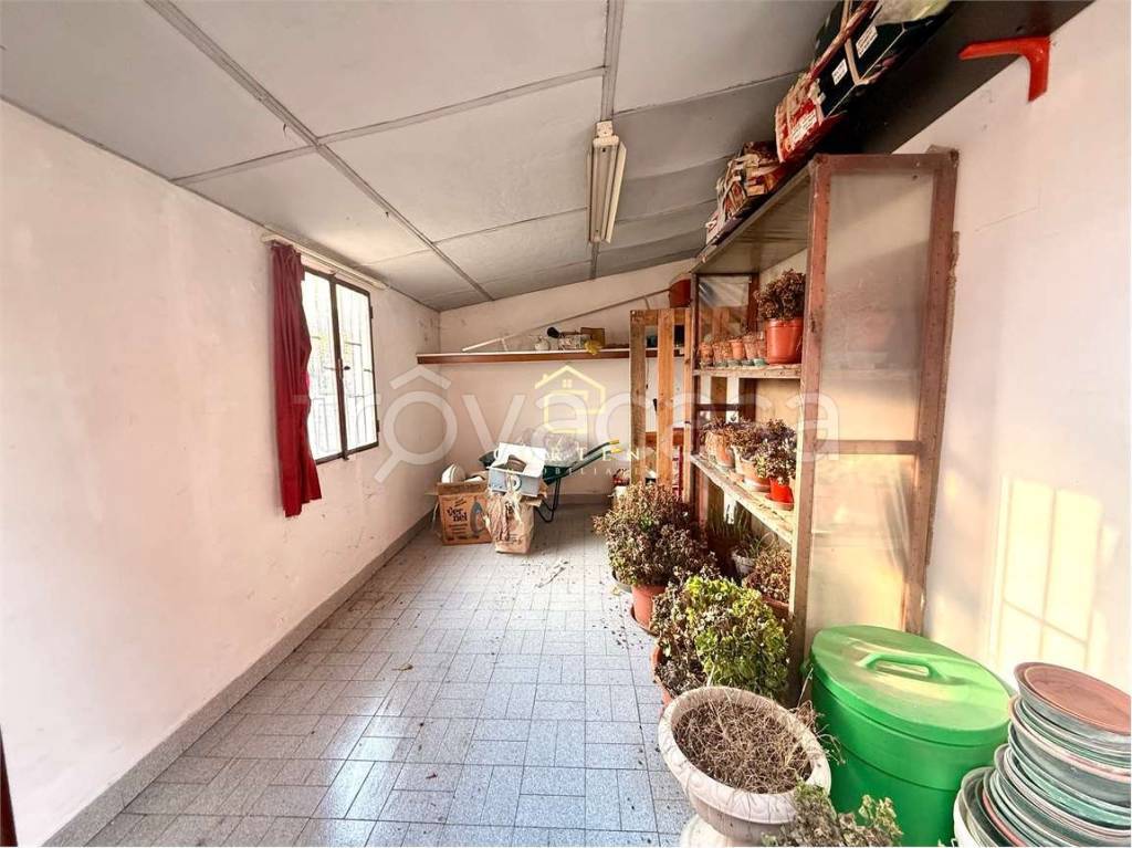 immagine annuncio 9 di 14