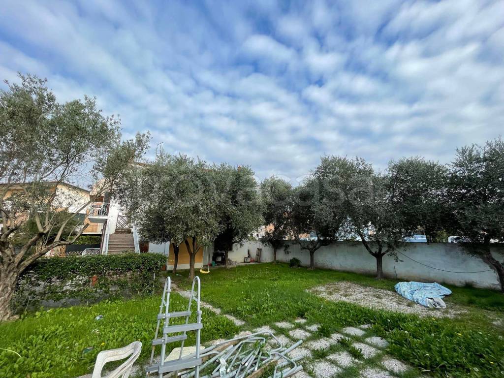 immagine annuncio 5 di 15