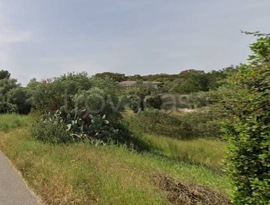 immagine annuncio 4 di 6