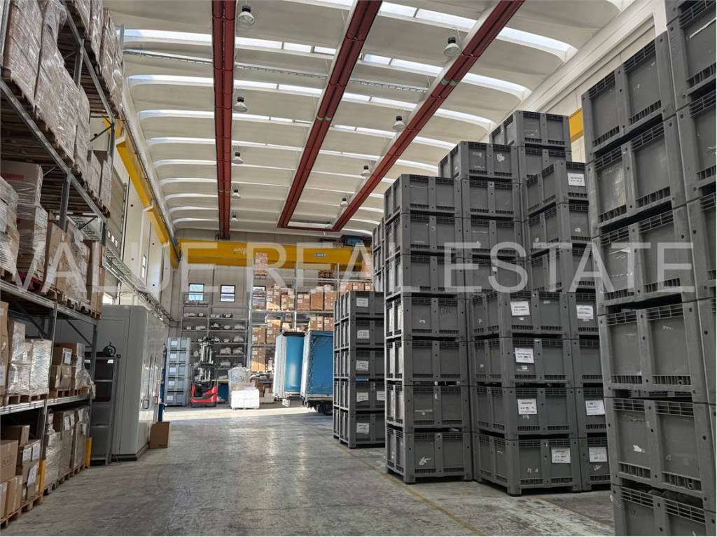 immagine annuncio 1 di 14