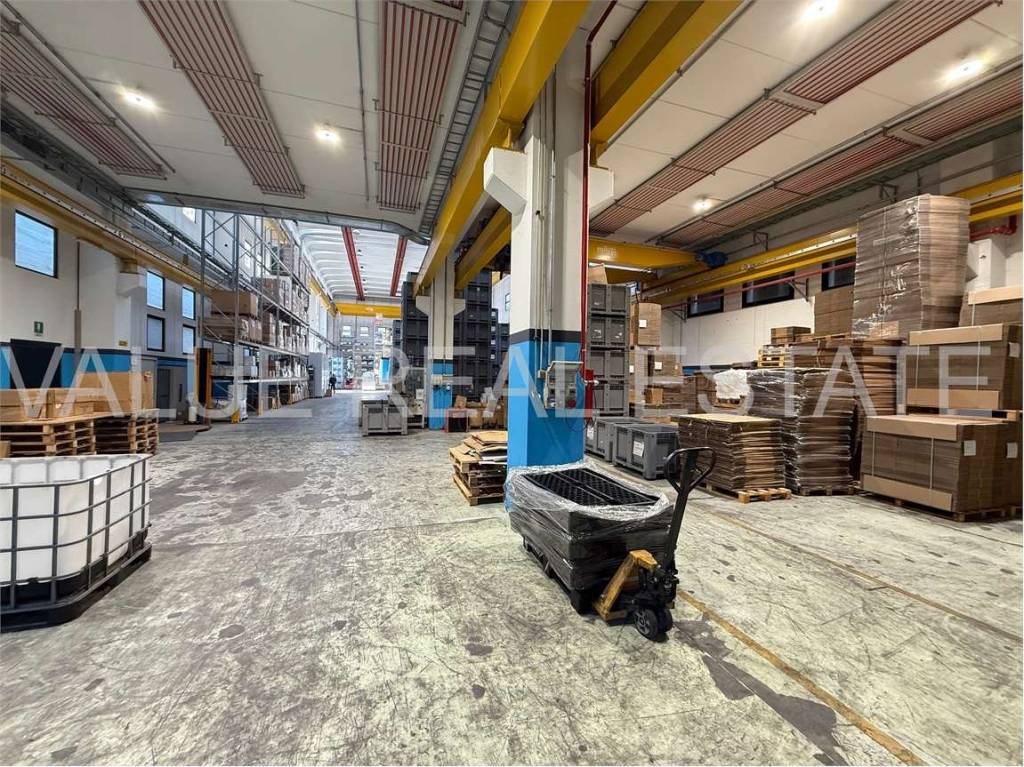 immagine annuncio 3 di 14