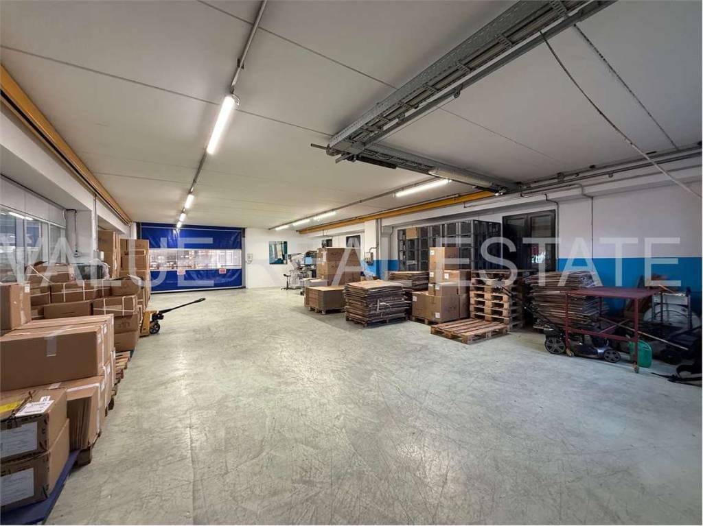 immagine annuncio 6 di 14