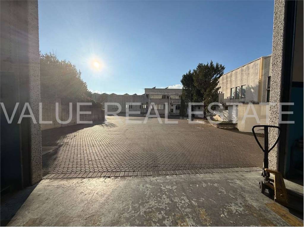 immagine annuncio 10 di 14