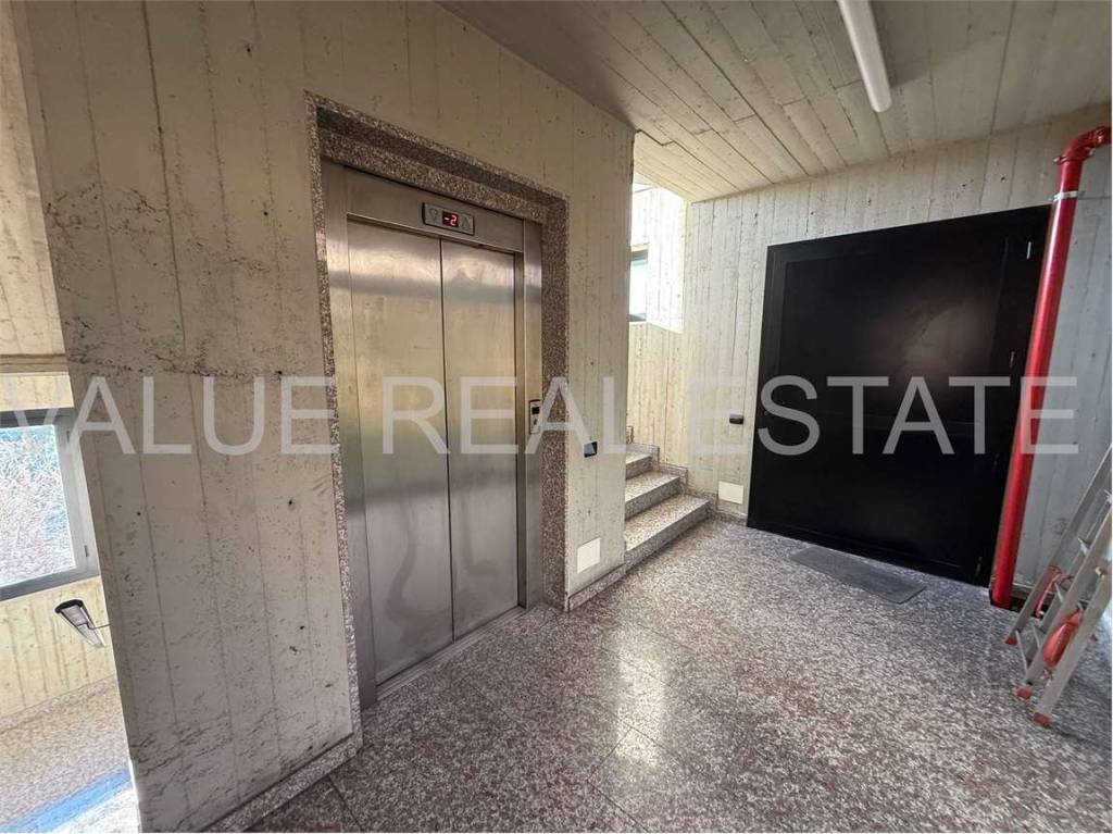 immagine annuncio 12 di 14