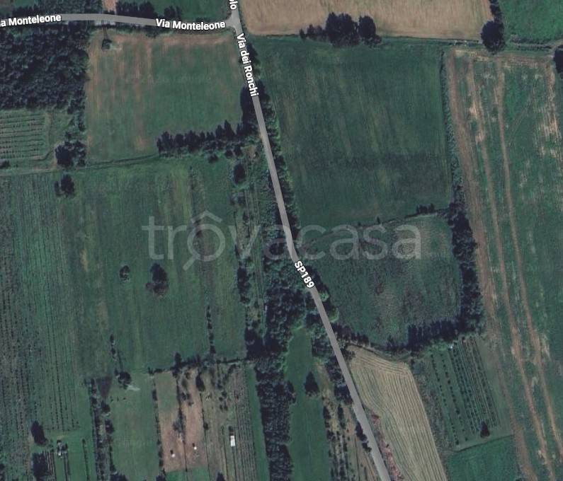 immagine annuncio 5 di 7