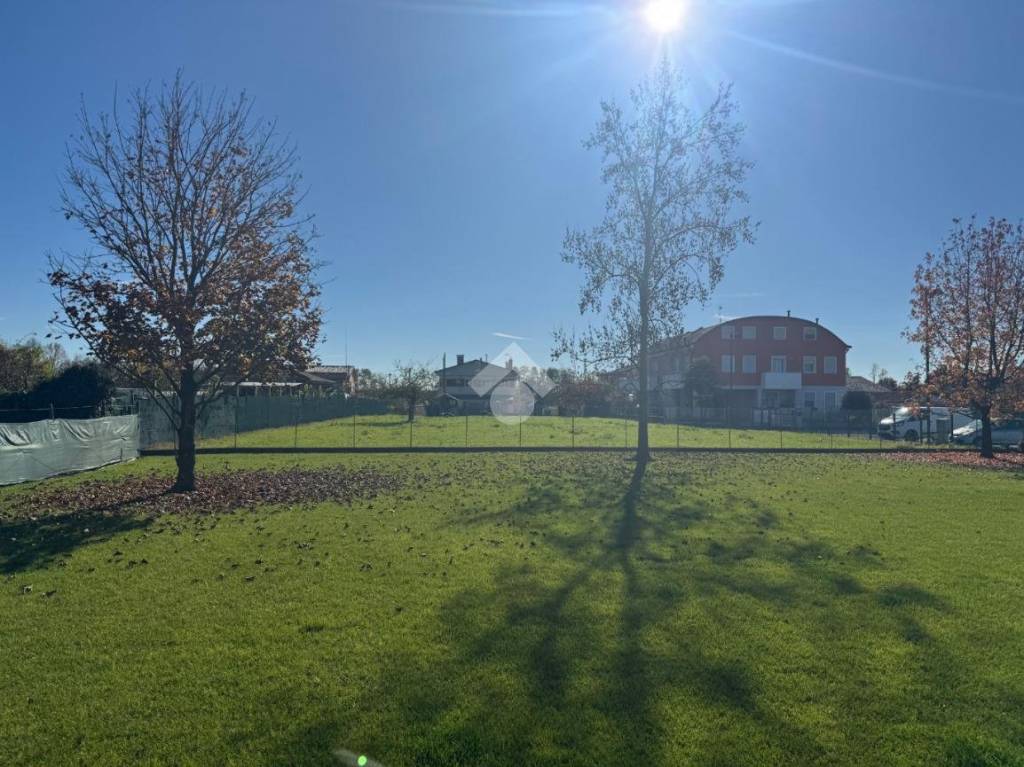 immagine annuncio 2 di 7