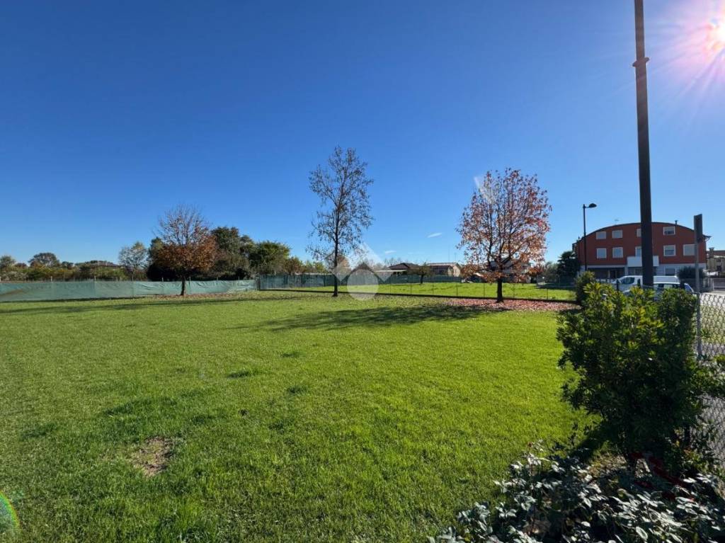 immagine annuncio 4 di 7