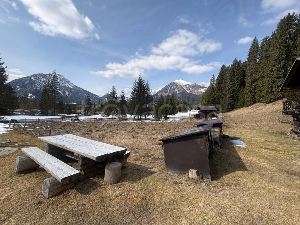 immagine annuncio 2 di 8