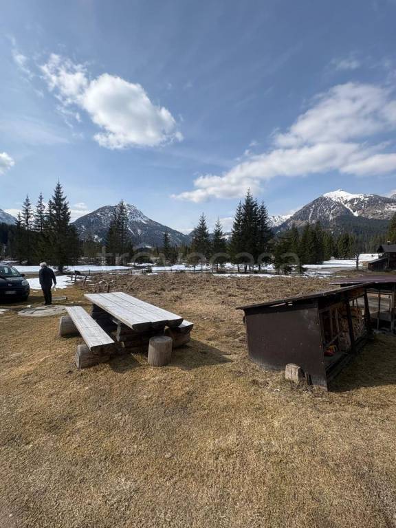 immagine annuncio 3 di 8