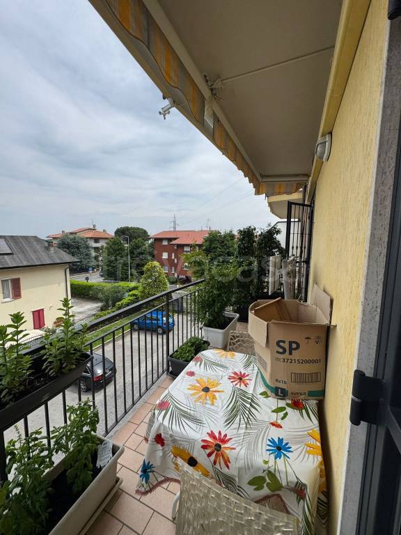 immagine annuncio 6 di 15