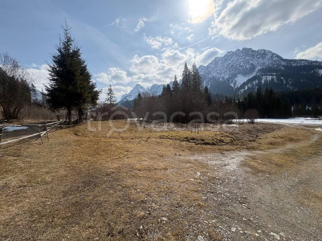 immagine annuncio 4 di 8