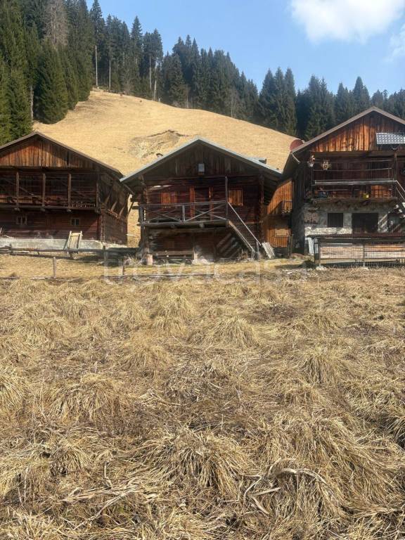 immagine annuncio 6 di 8