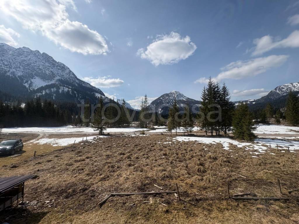 immagine annuncio 7 di 8