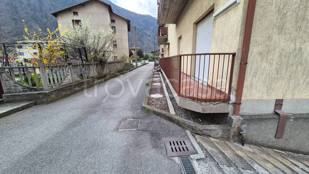 immagine annuncio 6 di 7