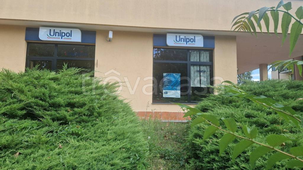 immagine annuncio 9 di 14