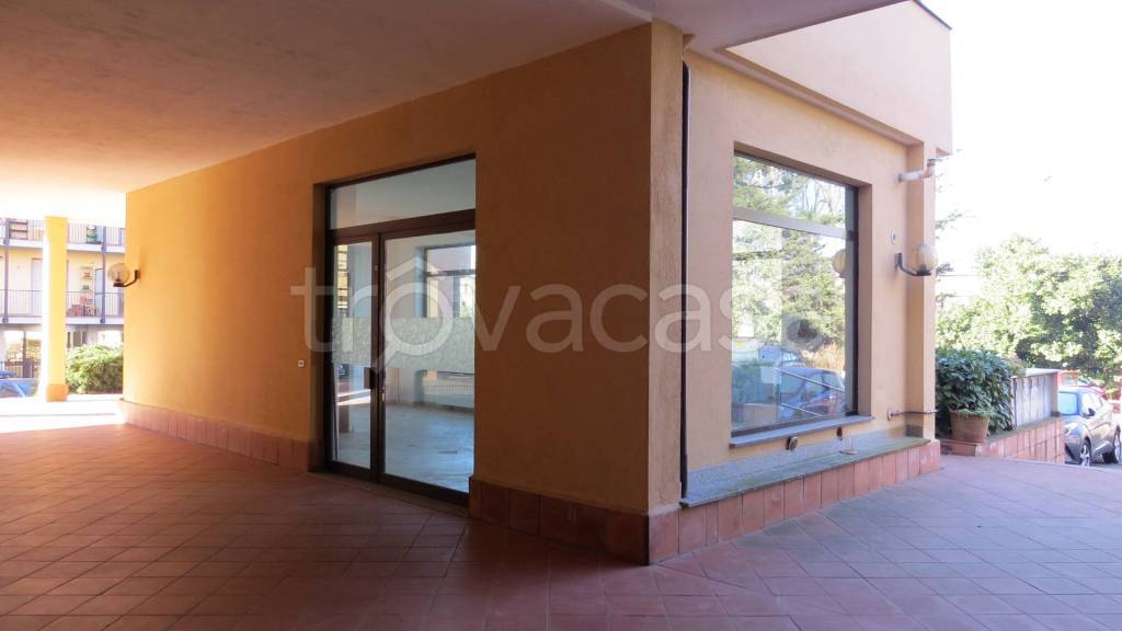 immagine annuncio 11 di 14