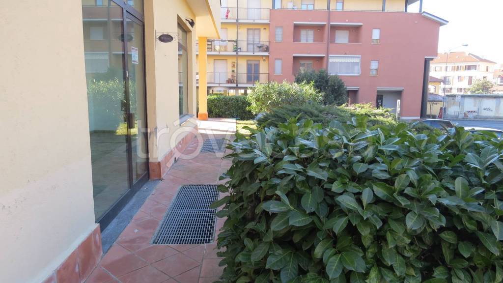 immagine annuncio 12 di 14