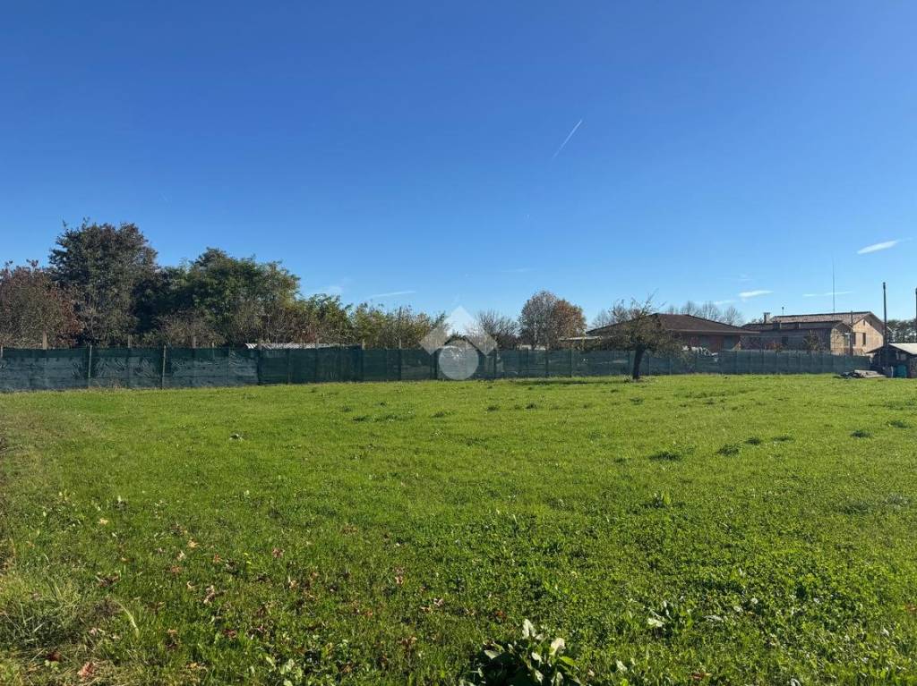 immagine annuncio 5 di 6