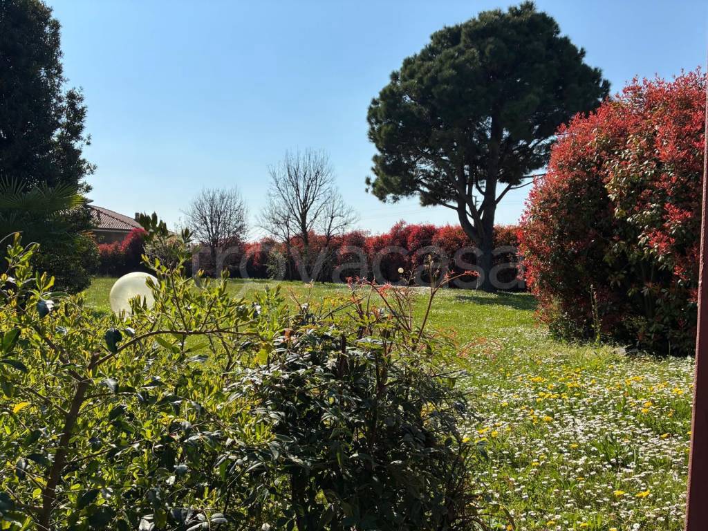 immagine annuncio 8 di 15