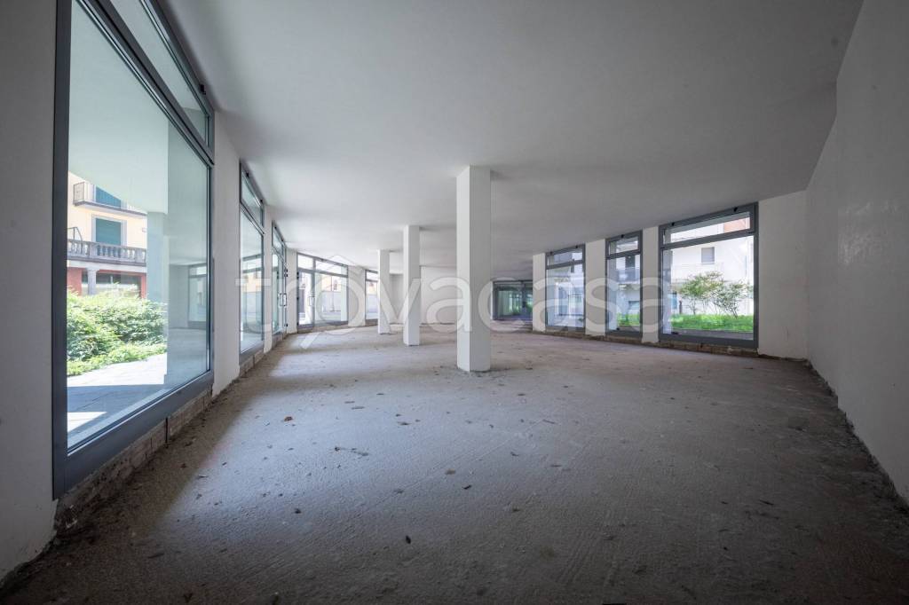 immagine annuncio 3 di 8