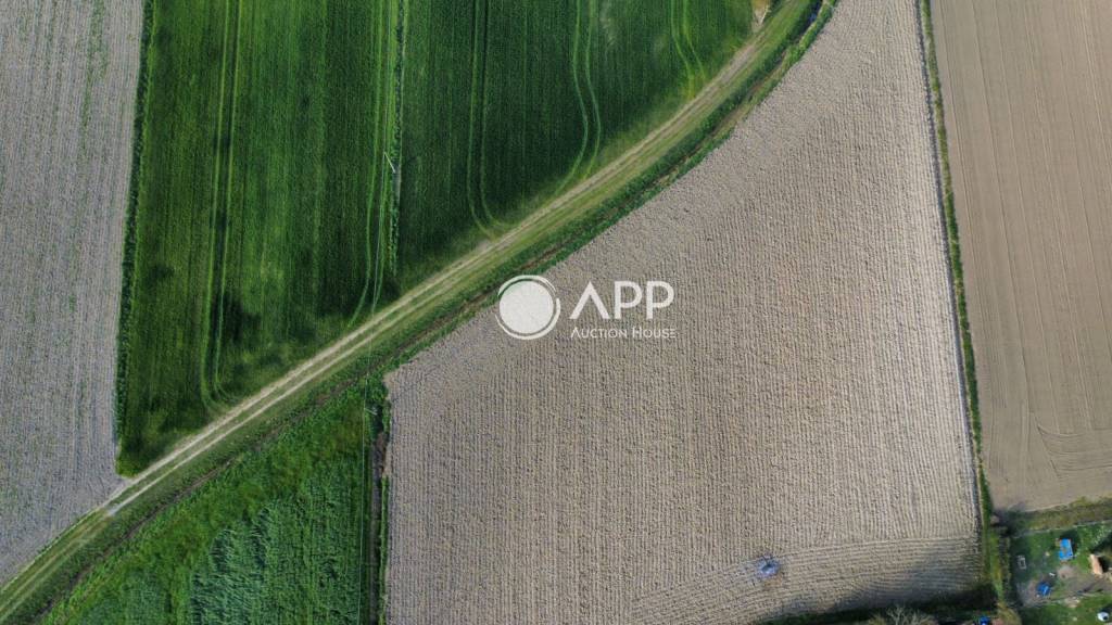 immagine annuncio 2 di 9