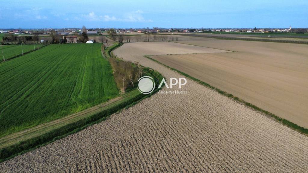 immagine annuncio 4 di 9