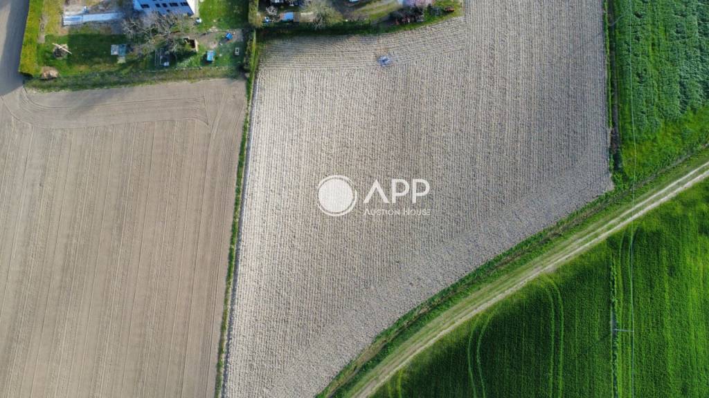 immagine annuncio 5 di 9